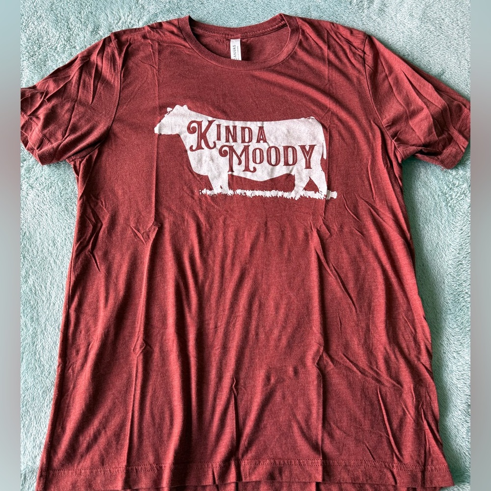 Bella Canvas Rust T-Shirt